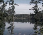 Maple Valley Branch