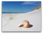 Florida Branch